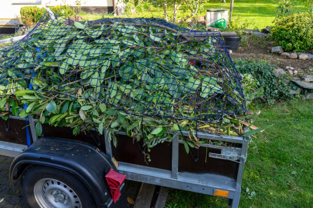 Best Dumpster Rental Services  in Shorewood Forest, IN